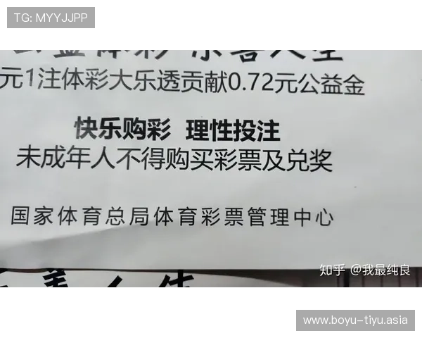 全面解析网络买球站的优势与风险，助你理性投注实现盈利目标